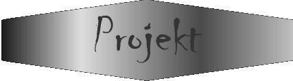 Projekt