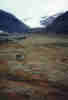 alternativ text