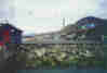alternativ text