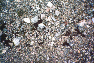 Detalj av marken