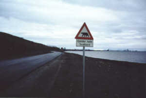Isbj�rnsvarning